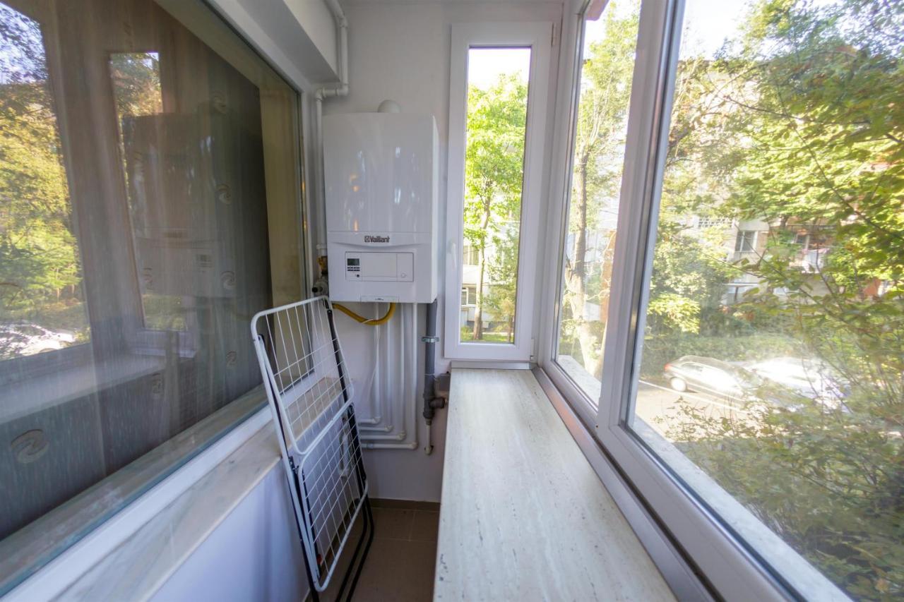 Apartament Family Rivulus 8 Nagybánya Kültér fotó