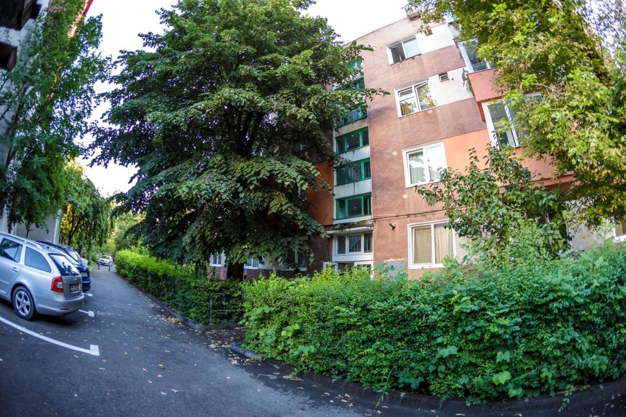 Apartament Family Rivulus 8 Nagybánya Kültér fotó